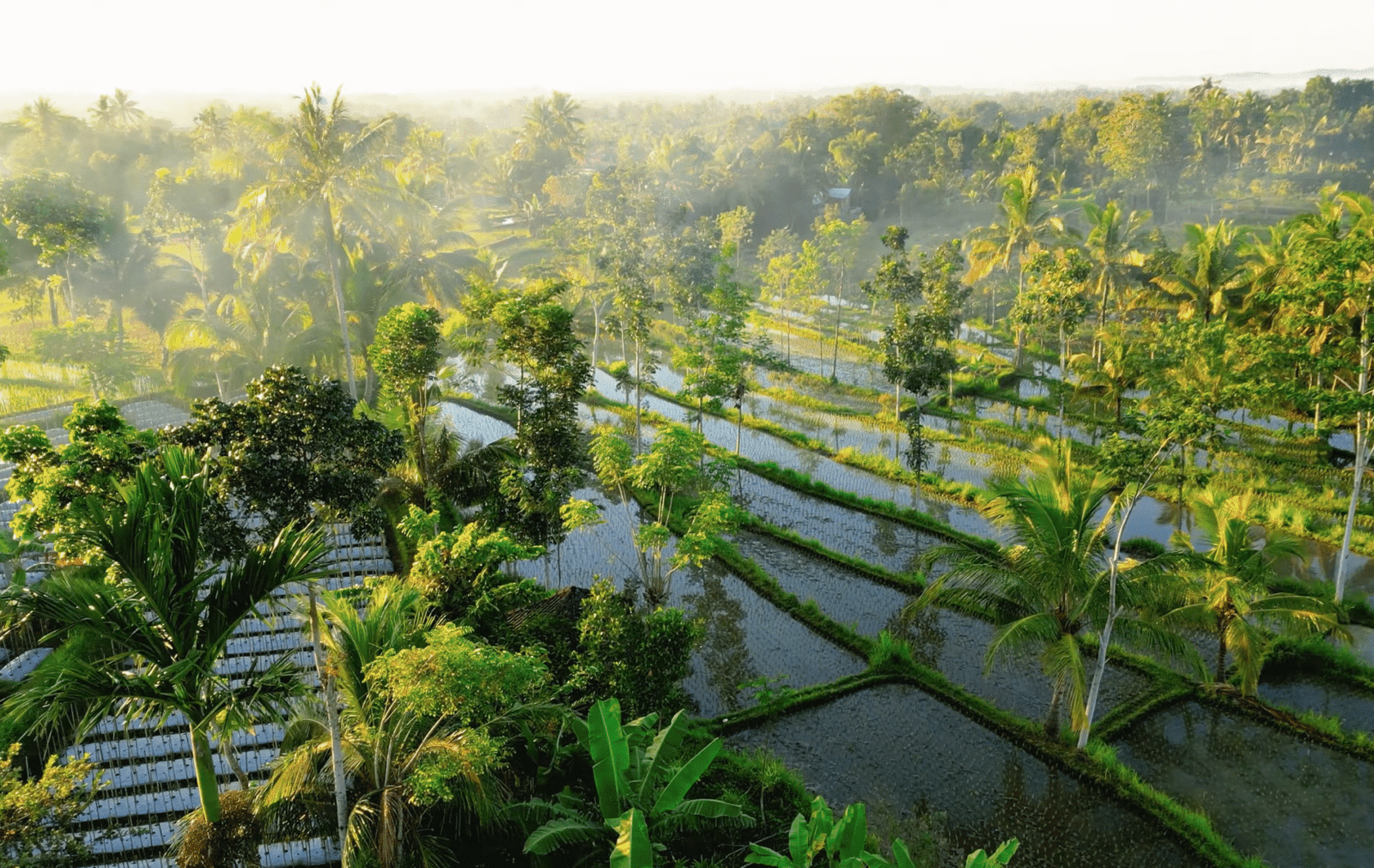 screenshot 2025 12 23 at 15.34.45